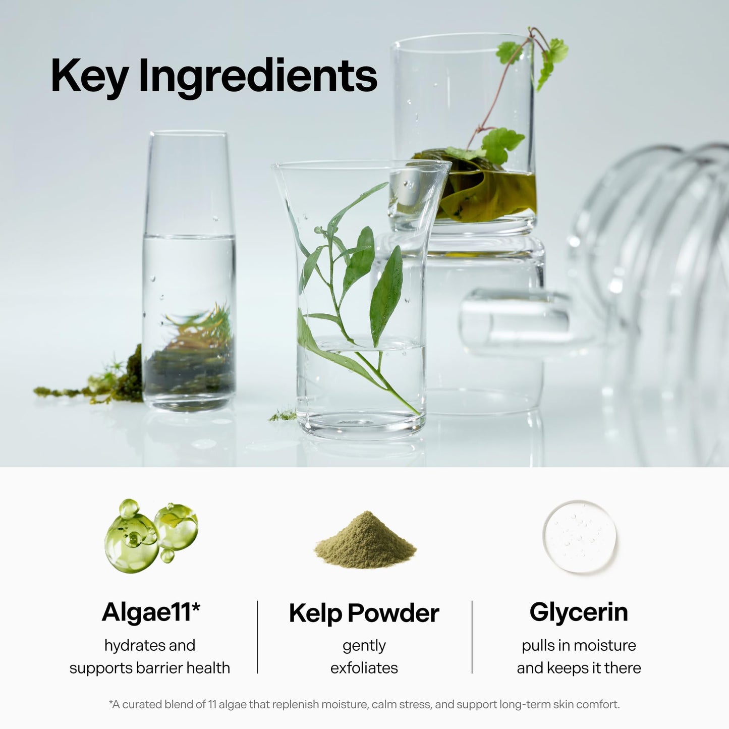 coeternal pH Balanced Gel Cleanser, Hydrating Korean Foaming Face Wash with Algae11 & Kelp Powder, Gentle Deep Cleanser for Oily or Sensitive Skin, Non-Comedogenic K-Beauty, 100ml / 3.38 fl.oz.